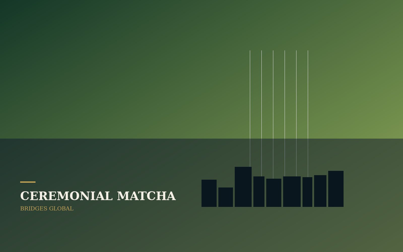 Best of Japan matcha
